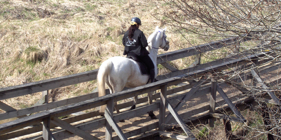 Broträning med häst Hågadalen